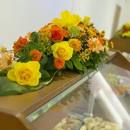 Strandzha - Free Parking Hotel 3*