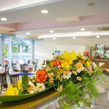 Strandzha - Free Parking 3*