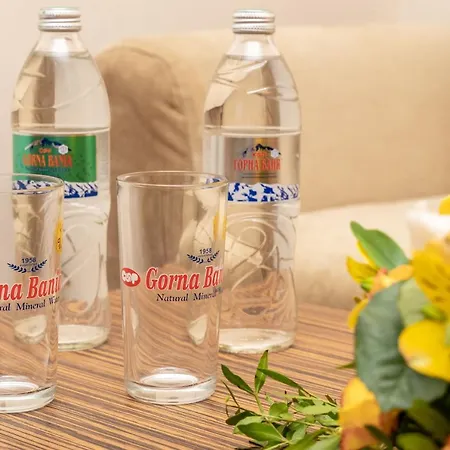 Отель Strandzha - Free Parking 3*